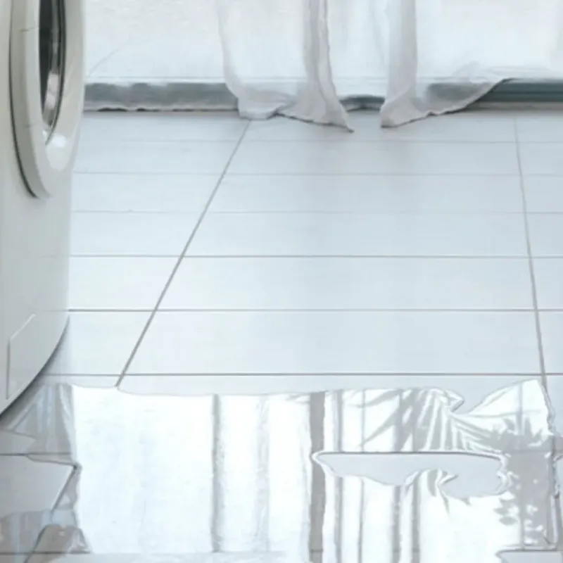 Appliance Leak Cleanup in Shepherdstown, WV