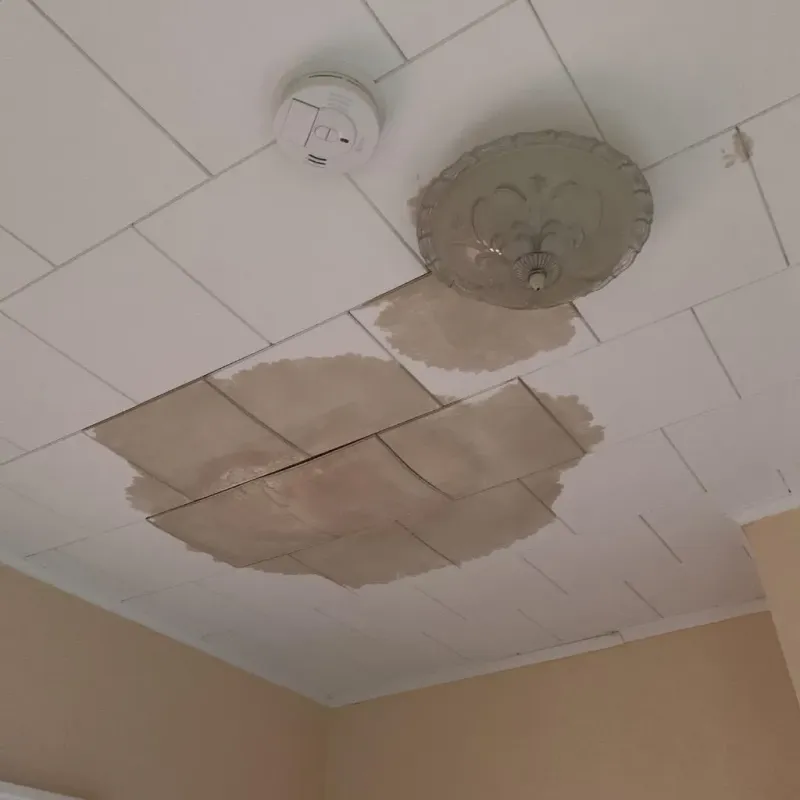Ceiling Water Damage Repair in Shepherdstown, WV