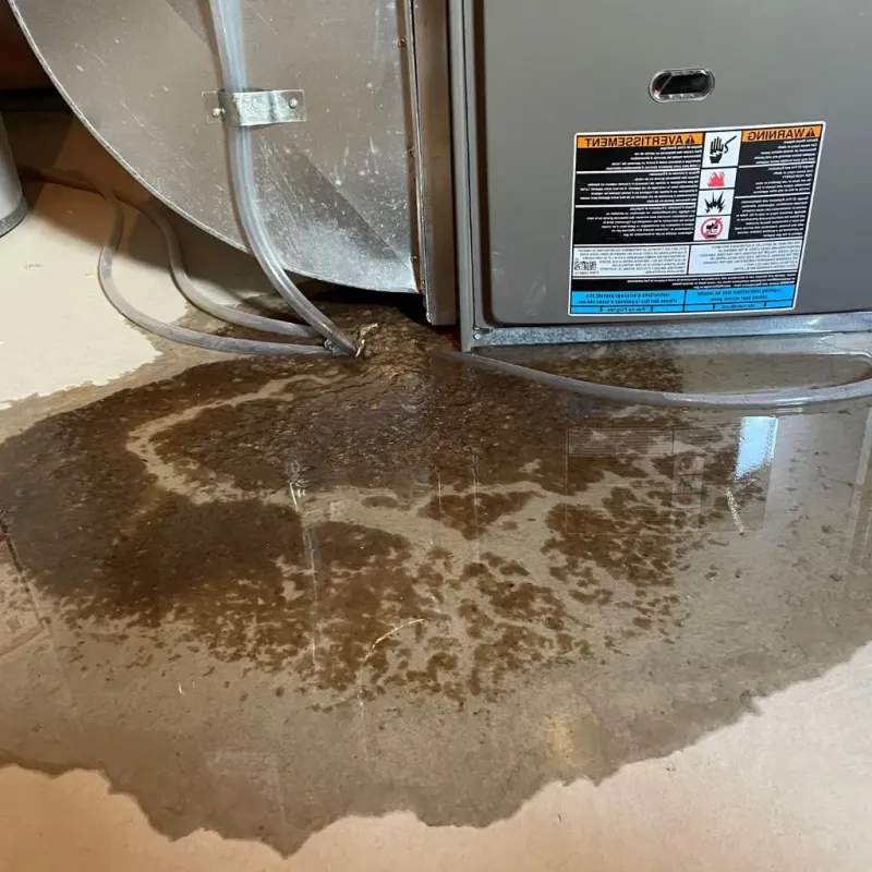 Pipe Burst and Leak Restoration in Shepherdstown, WV