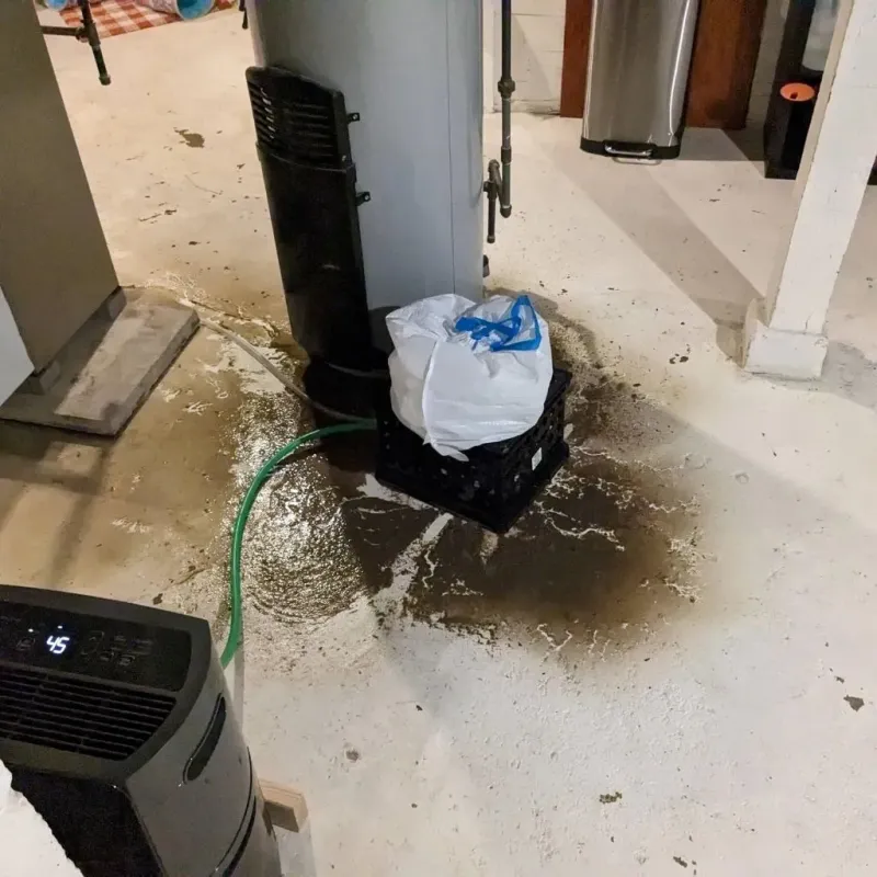 Sewage Backup Cleanup Service in Shepherdstown, WV